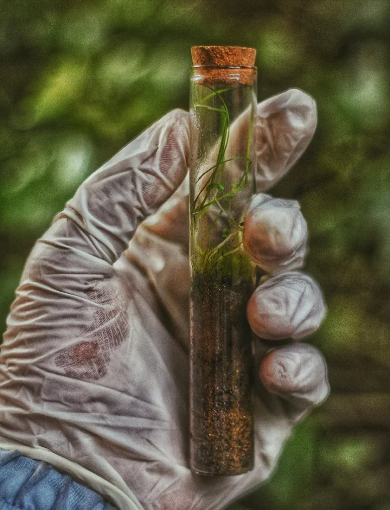 Hand holding a test tube of soil for testing purposes.
