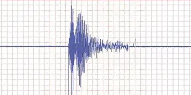 Wave on a graph representing an earthquake